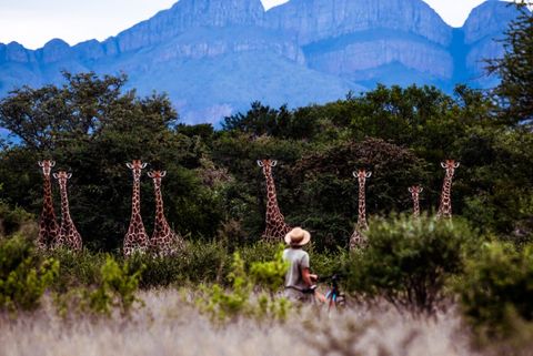 Scenic Lowveld landscape near Hoedspruit