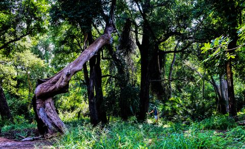 Bird at The Hidden Valley