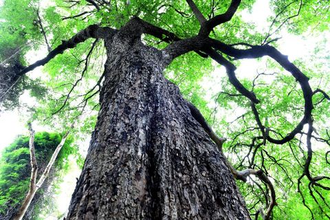 Nature at The Hidden Valley