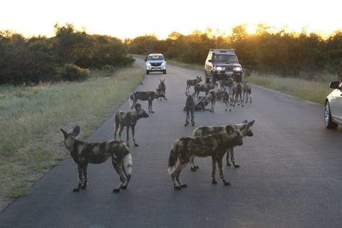 Nature at The Hidden Valley