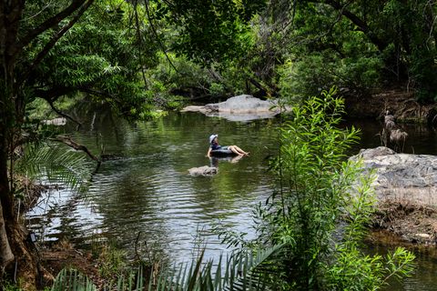 Bird at The Hidden Valley