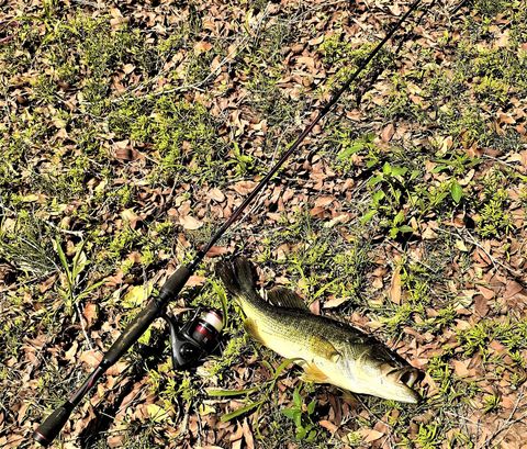 River tubing on the Blyde River