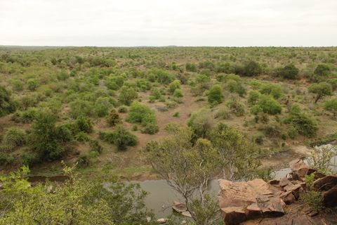 Kruger National Park