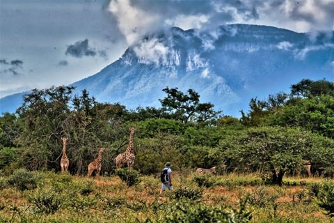 Activity at The Hidden Valley