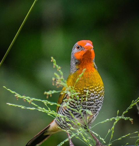 Biking through the reserve