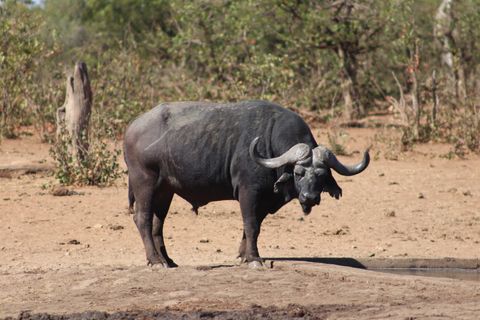 Nature at The Hidden Valley